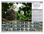 RecoverPlus Photo Recovery 2.6.6: ����������� ����������